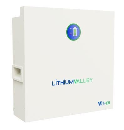 Lithium Valley 5.12Kwh- No LCD Display 1 Lithium Valley 5.12Kwh- No LCD Display